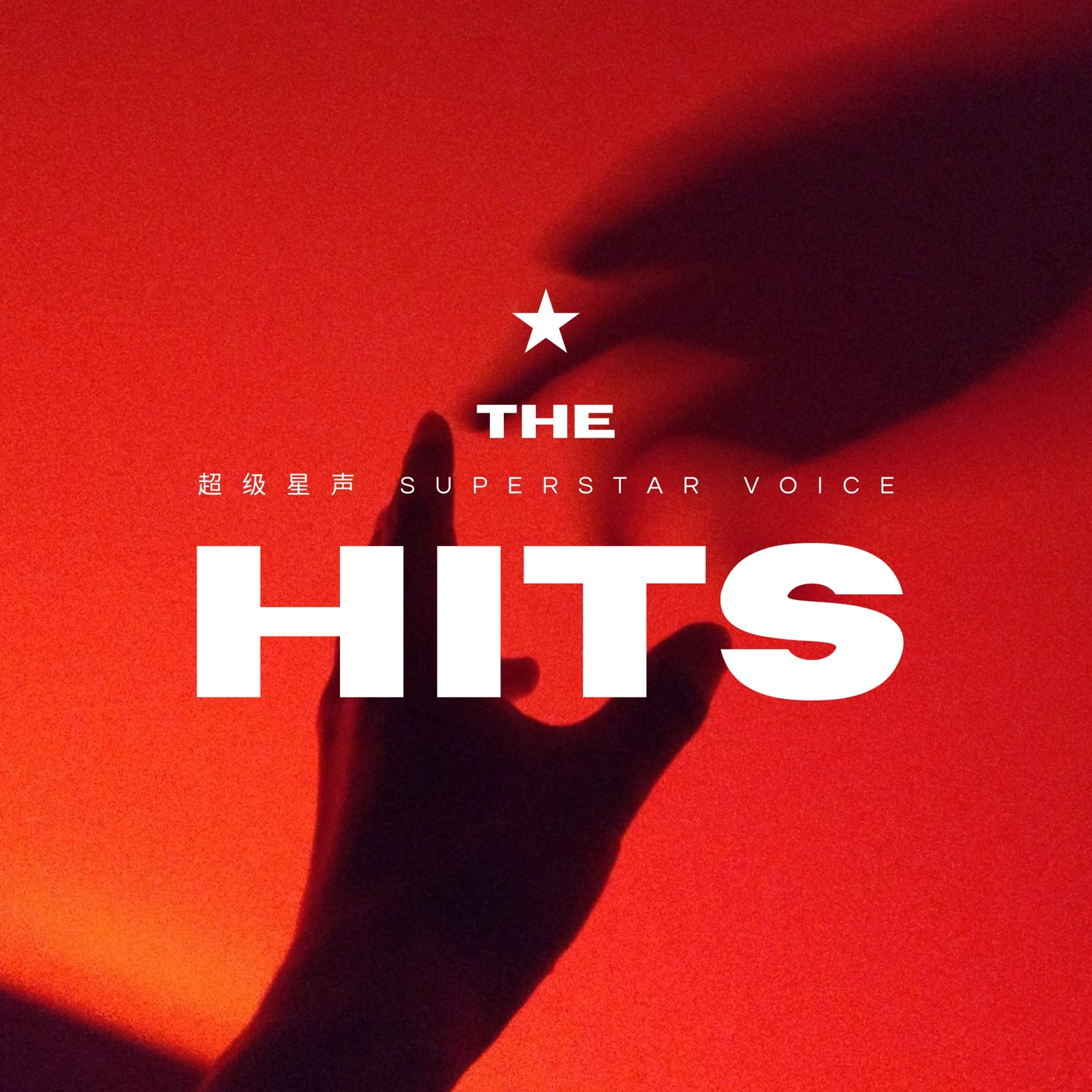 THE HITS — Superstar Voice
